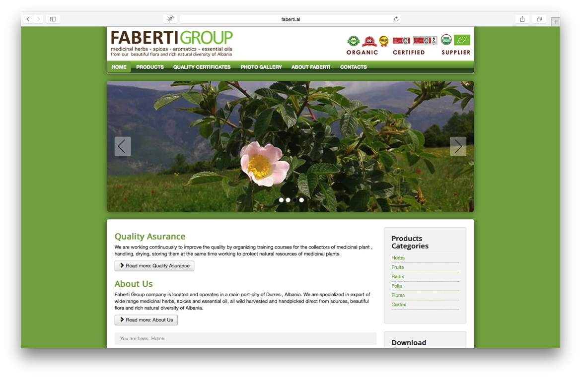 Faberti Group